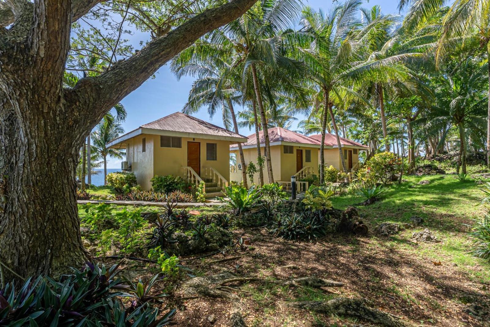 Blue Star Dive And Resort Anda  Eksteriør billede